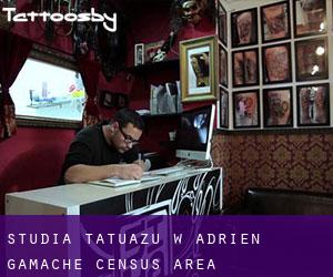 Studia tatuażu w Adrien-Gamache (census area)