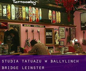 Studia tatuażu w Ballylinch Bridge (Leinster)