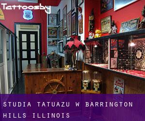 Studia tatuażu w Barrington Hills (Illinois)