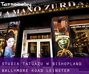 Studia tatuażu w Bishopland Ballymore Road (Leinster)
