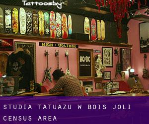 Studia tatuażu w Bois-Joli (census area)