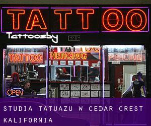 Studia tatuażu w Cedar Crest (Kalifornia)