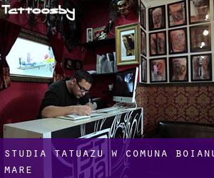 Studia tatuażu w Comuna Boianu Mare