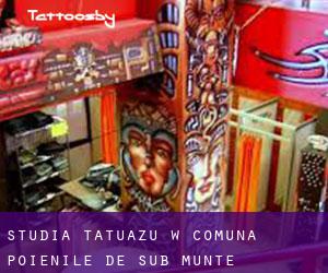 Studia tatuażu w Comuna Poienile de sub Munte