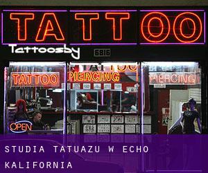 Studia tatuażu w Echo (Kalifornia)