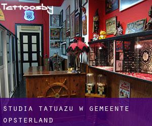 Studia tatuażu w Gemeente Opsterland