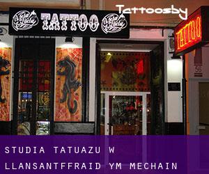 Studia tatuażu w Llansantffraid-ym-Mechain