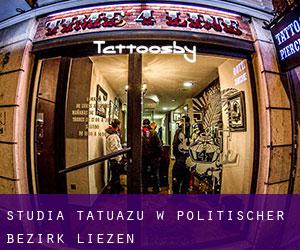 Studia tatuażu w Politischer Bezirk Liezen
