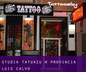 Studia tatuażu w Provincia Luis Calvo
