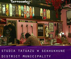 Studia tatuażu w Sekhukhune District Municipality