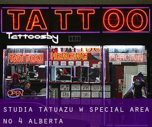 Studia tatuażu w Special Area No. 4 (Alberta)