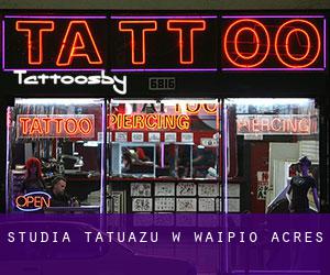 Studia tatuażu w Waipi‘o Acres