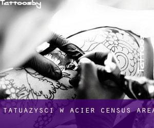 Tatuażyści w Acier (census area)