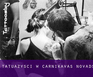 Tatuażyści w Carnikavas Novads