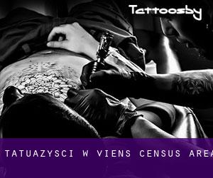 Tatuażyści w Viens (census area)