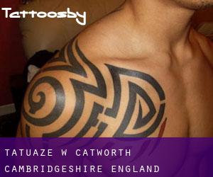 tatuaże w Catworth (Cambridgeshire, England)
